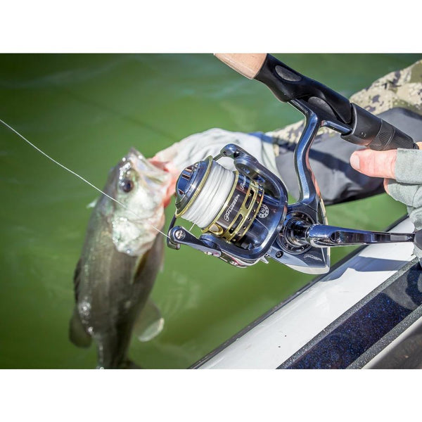 cheap pflueger fishing reels Pflueger President Spinning Reel