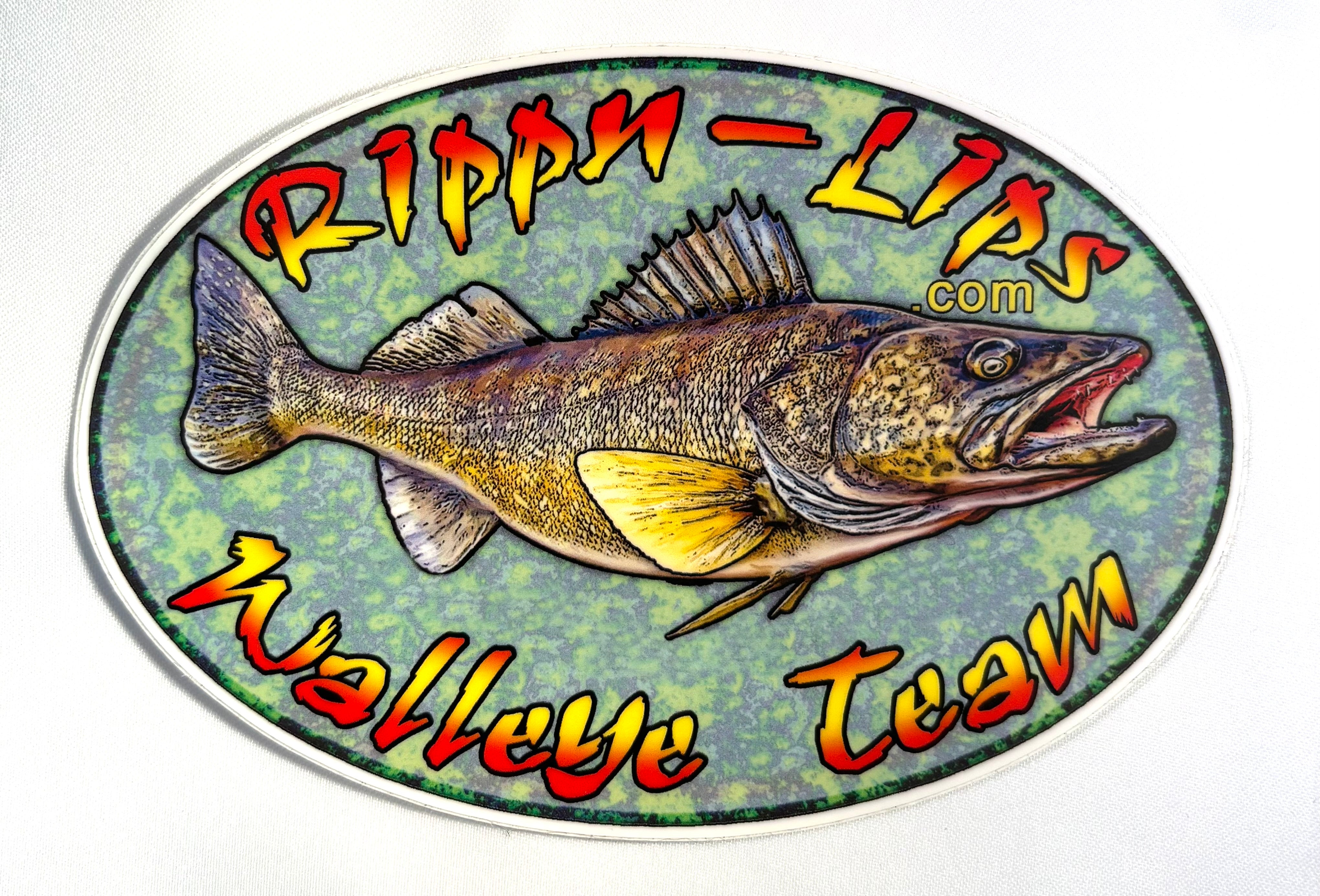 Flicker Minnow 9'S Crankbaits Custom Colors From Rippn-Lips Tackle Fall Brawl Sale