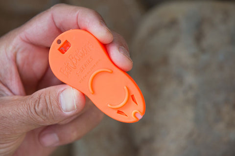 Bait Buttons Original & Big Game + Refills