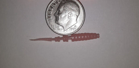 Beaver Tail Plastics Plastic Tin from Liquid Willowcat