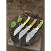 asdfsd files/damascus-steel-hunting-knife-multiple-handle-colors-jw-steelcrafts-jw-steelcrafts-8071236.webp